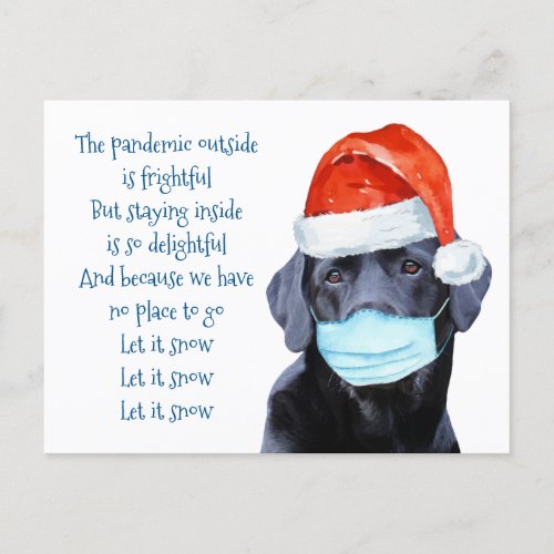 Funny Pandemic Face Mask Covid Quarantine Dog Postcard