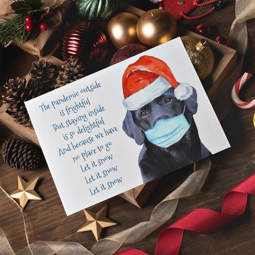 Funny Pandemic Face Mask Dog Quarantine Holiday Card