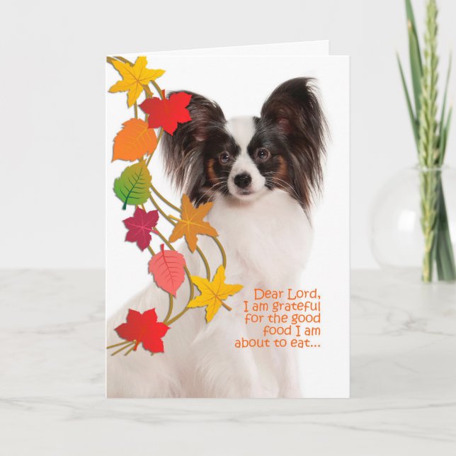 Funny Papillon Thanksgiving Card (Front)