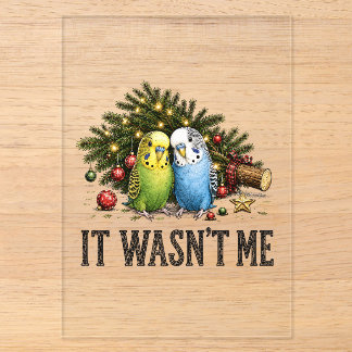 Funny Parakeets Christmas It Wasn't Me Acrylic Invitations