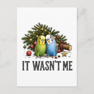 Funny Parakeets Christmas It Wasn't Me Invitation Postcard