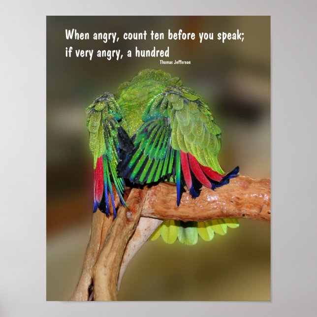 Funny Parrot Anger Quote Inspirational Poster (Front)