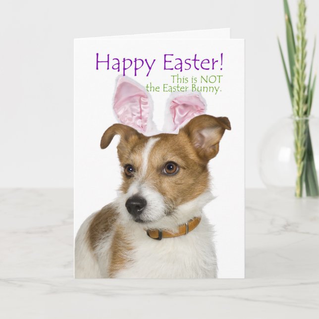 Funny Parson Russell Terrier Easter Card (Front)