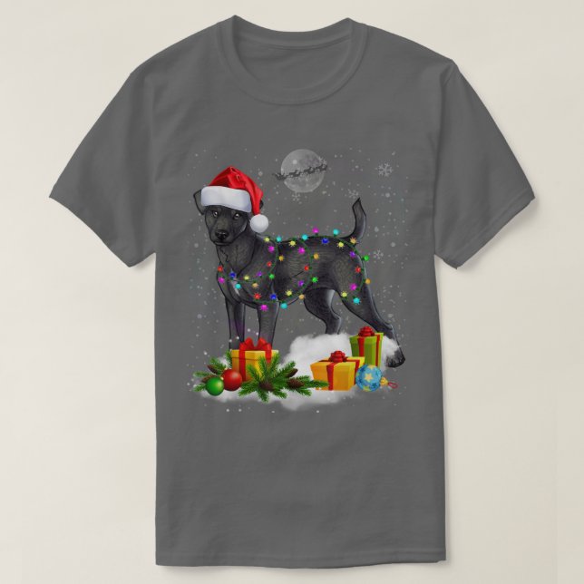 Funny Patterdale Terrier Dog Christmas Lights Sant T-Shirt (Design Front)