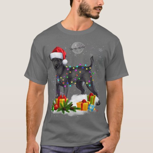 Funny Patterdale Terrier Dog Christmas Lights Sant T_Shirt