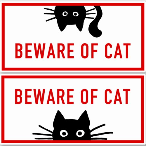 Funny Peeking Beware of Cat Signs Vinyl Stickers