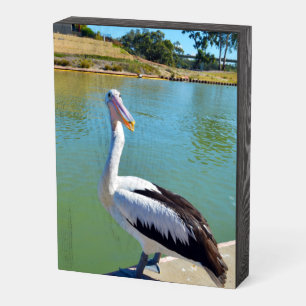 Funny Pelican Giving Back Chat,_ Wooden Box Sign
