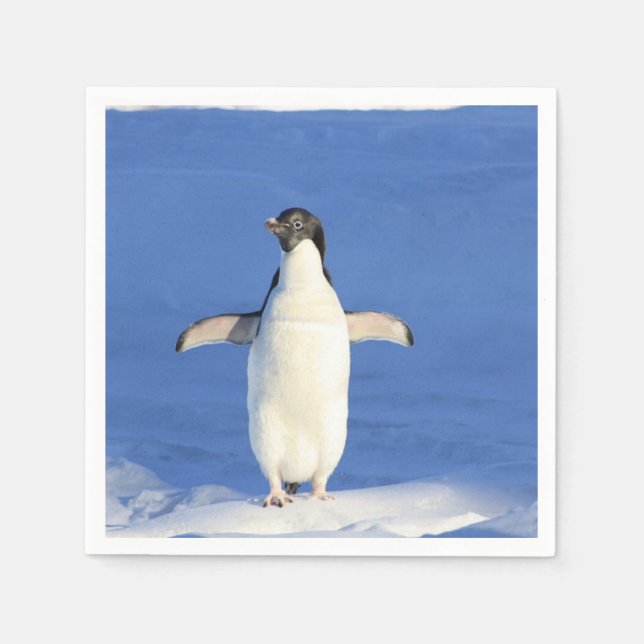 Funny penguin on ice napkins (Front)