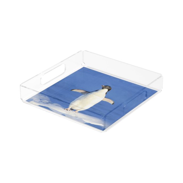 Funny penguin on ice photo acrylic tray (Angled)