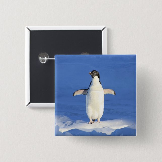 Funny penguin on ice photo button (Front & Back)