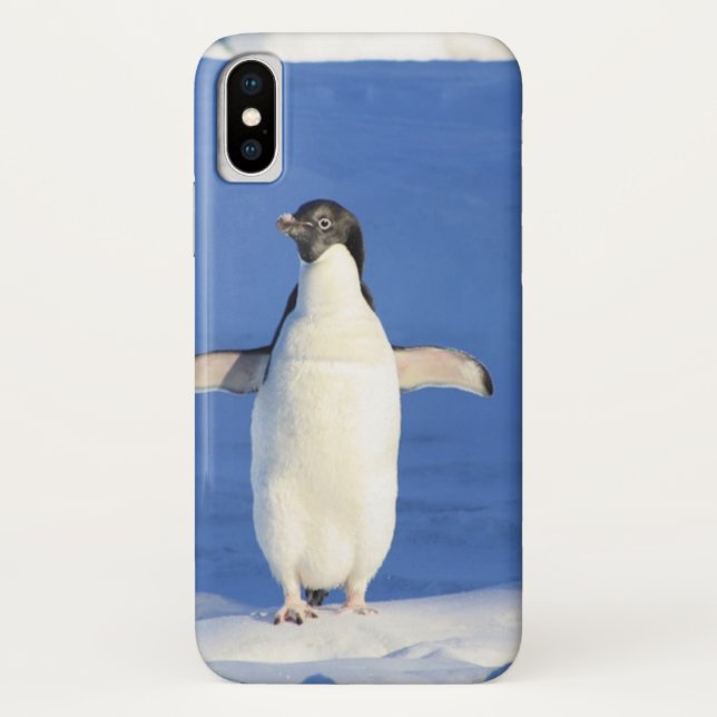 Funny penguin on ice photo Case-Mate iPhone case (Back)