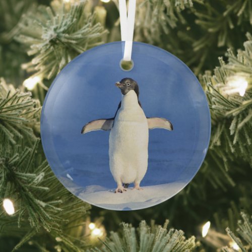 Funny penguin on ice photo glass ornament