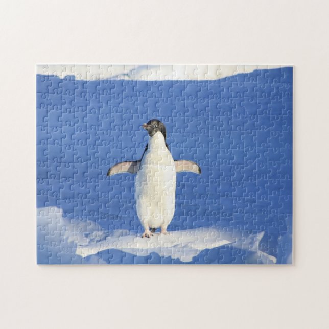 Funny penguin on ice photo jigsaw puzzle (Horizontal)