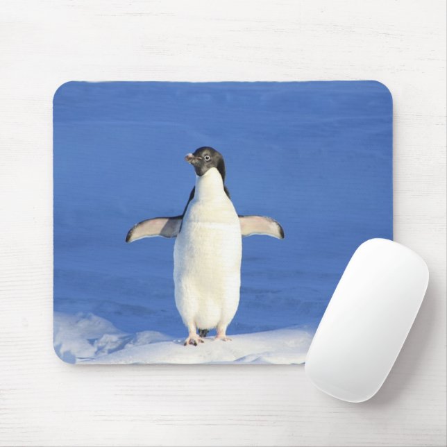 Funny penguin on ice photo mouse pad (With Mouse)