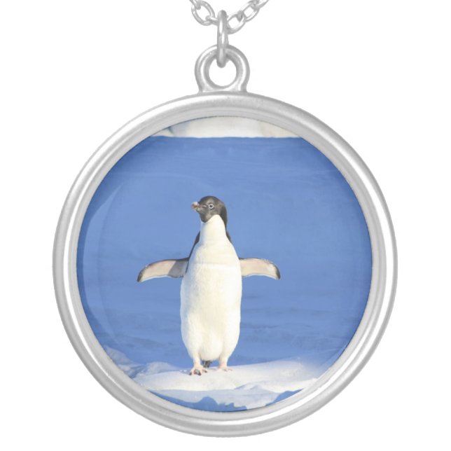 Funny penguin on ice photo silver plated necklace (Front)