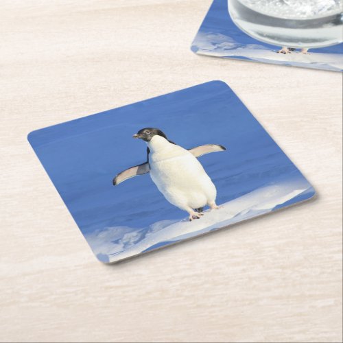 Funny penguin on ice photo square paper coaster