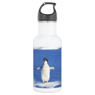 Funny penguin on ice photo stainless steel water bottle