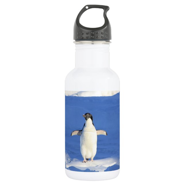 Funny penguin on ice photo stainless steel water bottle (Front)
