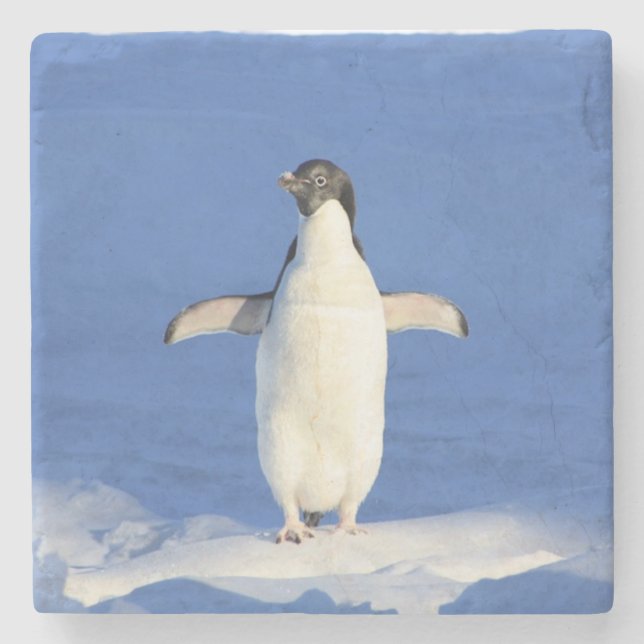 Funny penguin on ice photo stone coaster (Front)