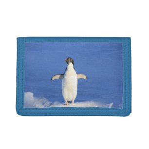Funny penguin on ice photo tri-fold wallet
