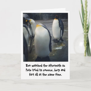 funny penguins birthday card