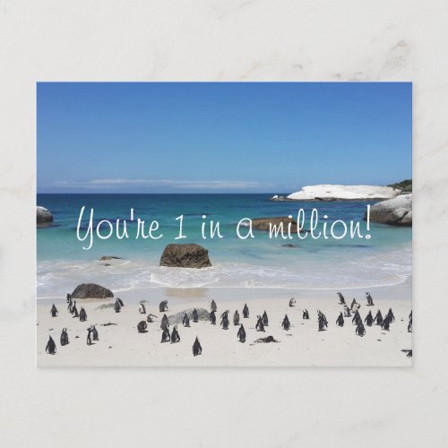 Funny Penguins Thank You Postcard