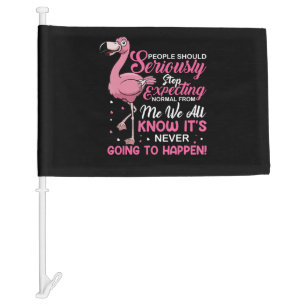 Funny - People Should Stop Expecting Normal Car Flag