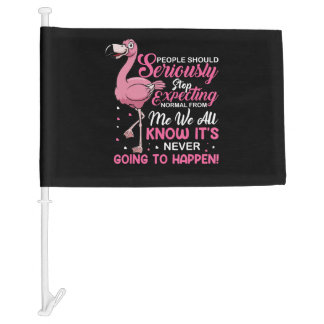 Funny - People Should Stop Expecting Normal Car Flag