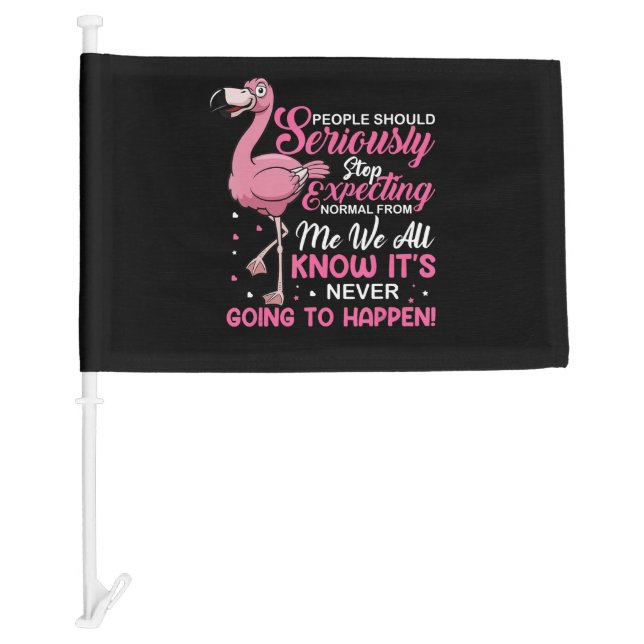 Funny - People Should Stop Expecting Normal Car Flag (Front)
