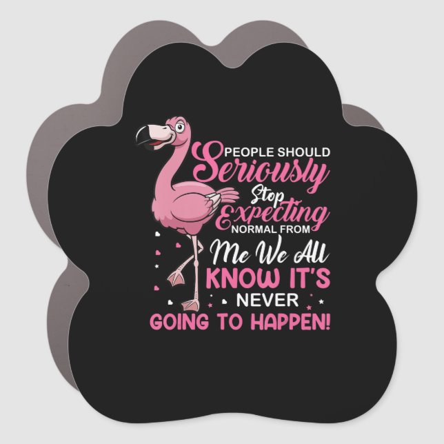 Funny - People Should Stop Expecting Normal Car Magnet (Front)