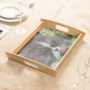 funny persian cat, kitchen, tray, kitchen serving tray