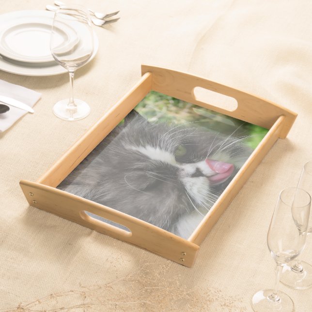 funny persian cat, kitchen, tray, kitchen serving tray (Front)