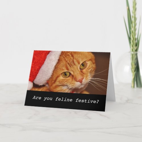 Funny personalised cat christmas card