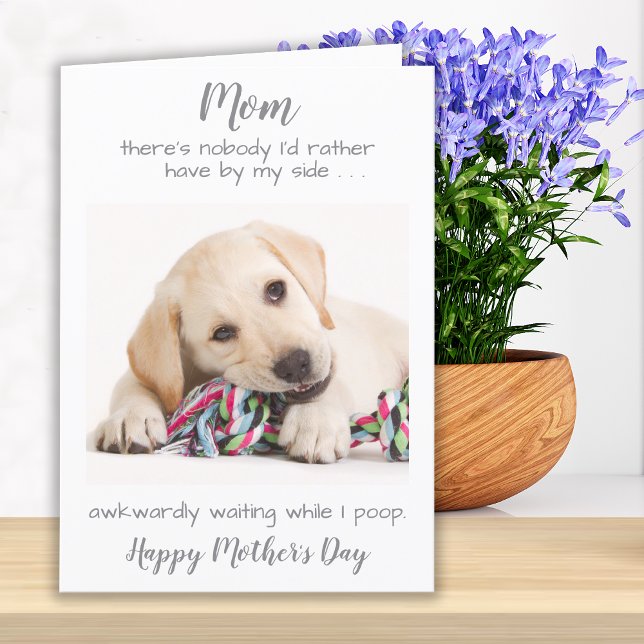Funny Personalized Dog Mom Pet Photo Mothers Day Holiday Card (Creator Uploaded)