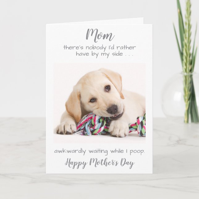 Funny Personalized Dog Mom Pet Photo Mothers Day Holiday Card (Front)