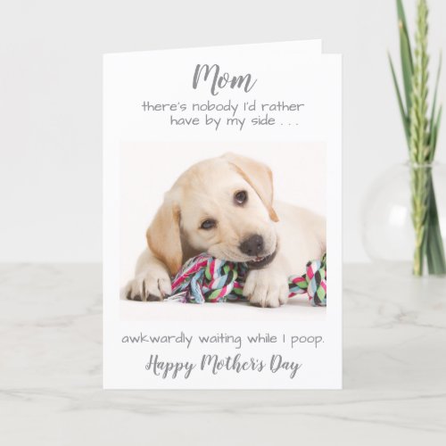 Funny Personalized Dog Mom Pet Photo Mothers Day Holiday Card