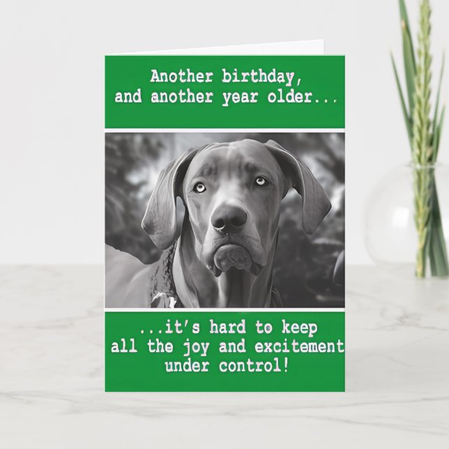 Funny Personalized Dog Photo Birthday    Card (Front)