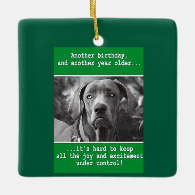 Funny Personalized Dog Photo Birthday    Ceramic Ornament (Front)