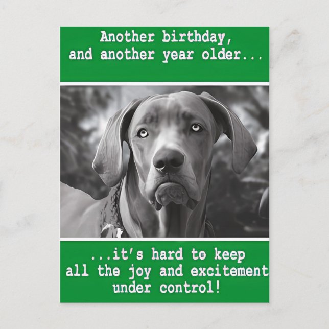 Funny Personalized Dog Photo Birthday    Postcard (Front)