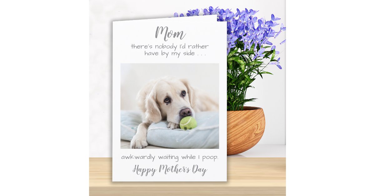 Funny Personalized Pet Photo Dog Mom Mothers Day Holiday Card | Zazzle