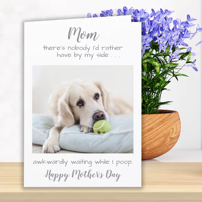 Funny Personalized Pet Photo Dog Mom Mothers Day Holiday Card | Zazzle