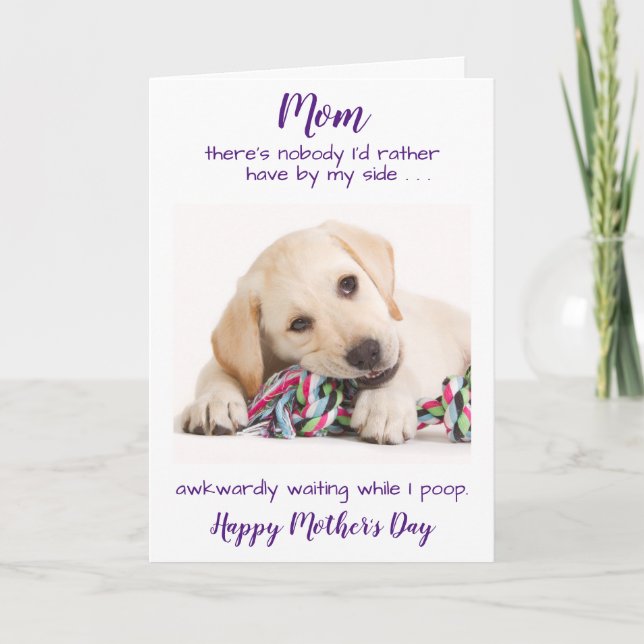 Funny Personalized Pet Photo Dog Mom Mothers Day Holiday Card (Front)