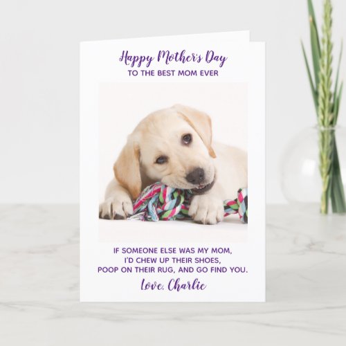 Funny Personalized Pet Photo Mothers Day Dog Mom Holiday Card