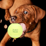 Funny Personalized Tennis Balls<br><div class="desc">Never lose your tennis balls again with these green personalized yellow tennis balls.  Great gift idea for him.</div>