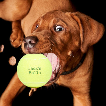 Funny Personalized Tennis Balls by DizzyDebbie at Zazzle