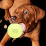Funny Personalized Tennis Balls