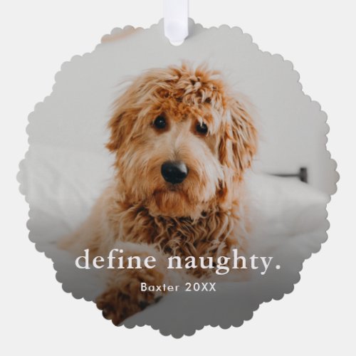 Funny Pet 2 Photo Christmas Holiday Ornament Card