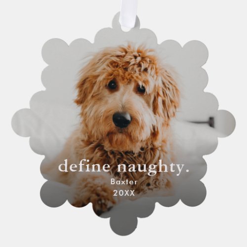 Funny Pet 2 Photo Christmas Holiday Ornament Card