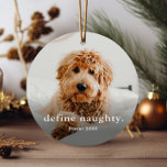 Funny Pet 2 Photo Christmas Metal Ornament<br><div class="desc">A Funny Pet Photo Christmas Ornament with simple type define naughty greeting on the front. The back has a second photo. Click the edit button to customize this design.</div>