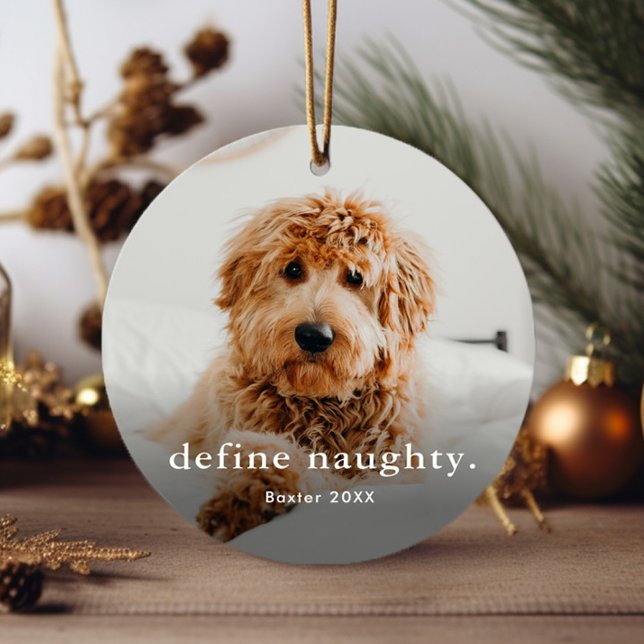 Funny Pet 2 Photo Christmas Metal Ornament (Simple funny naughty pet Christmas tree holiday ornament.)